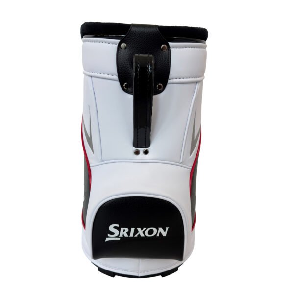 Bolsa de Prácticas Den Srixon - Imagen 3