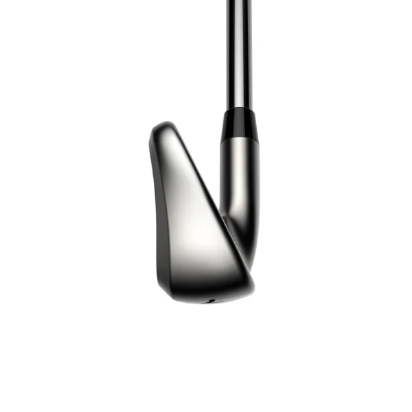 DS-ADAPT Irons - Imagen 4