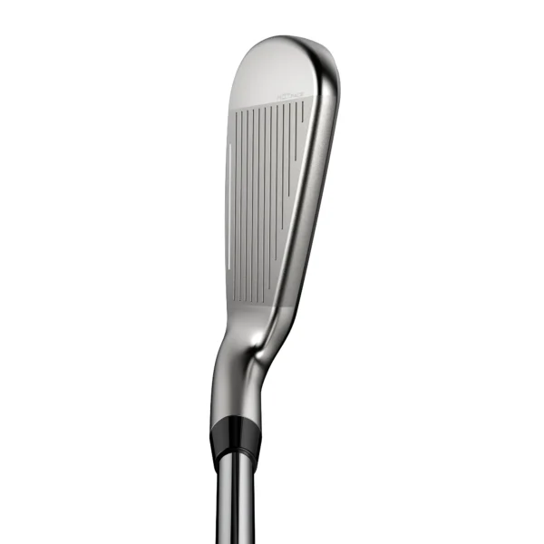 DS-ADAPT Irons - Imagen 2