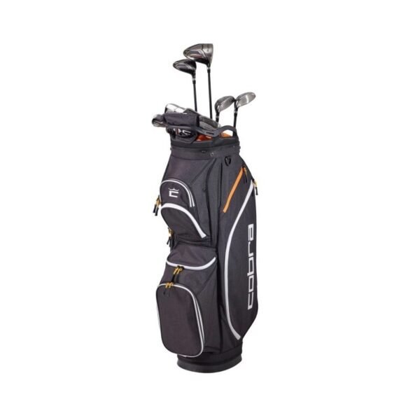 Cobra FlyX2 Black Gold 2025